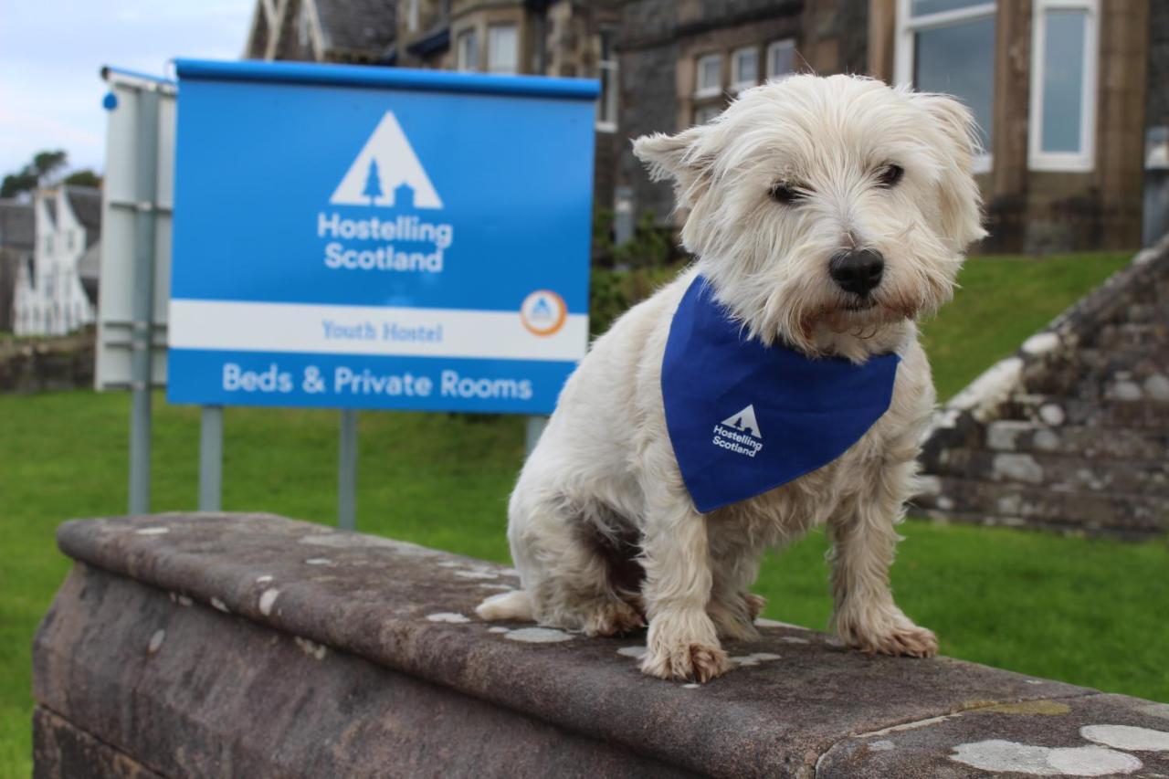 Oban Youth Hostel Экстерьер фото The West Highland White Terrier is the official dog of the AA